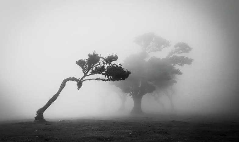Wanneer de Waarheid Pijn Doet: Vriendschap, Verraad en een Kind
