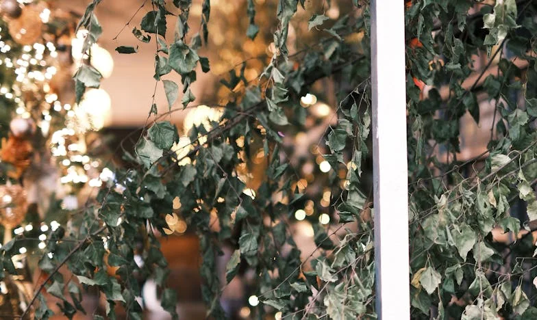 Wanneer Liefde een Rekening Wordt: Mijn Leven tussen Plichten, Dromen en Teleurstellingen