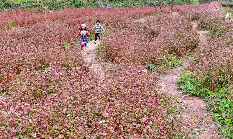 „Wil je alsjeblieft op mijn moeder passen?“: Hoe ik mezelf opnieuw vond na mijn pensioen
