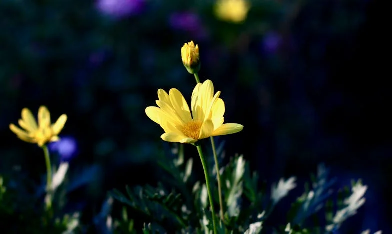 Als je kind zegt dat hij niet meer van je houdt: Het verhaal van een moeder uit Utrecht