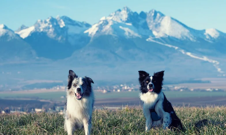 De bittere keuze van mijn schoonmoeder: Alleen met mijn dochtertje in Rotterdam