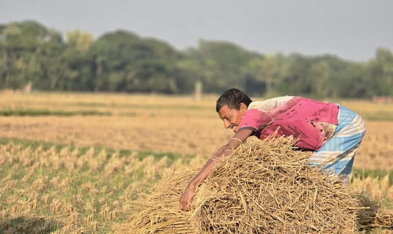 De koelkast is geen kantine! Hoe mijn dochter en haar 'vrienden' mij tot tranen brachten