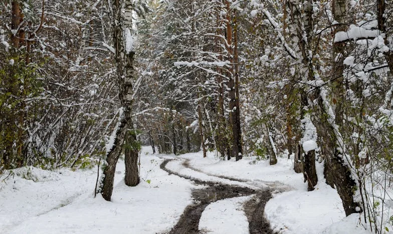 Een Bord Vol Stilte: Het Onzichtbare Leven van een Schoonmoeder