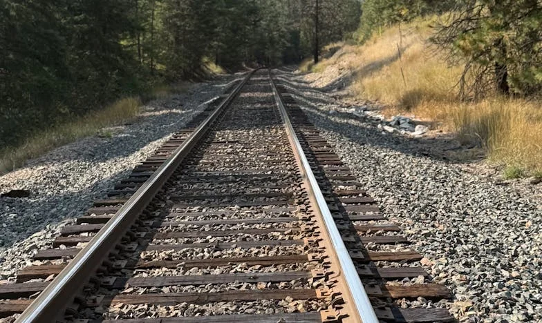 Ik stuurde mijn zonen naar de supermarkt, maar alleen de oudste kwam terug