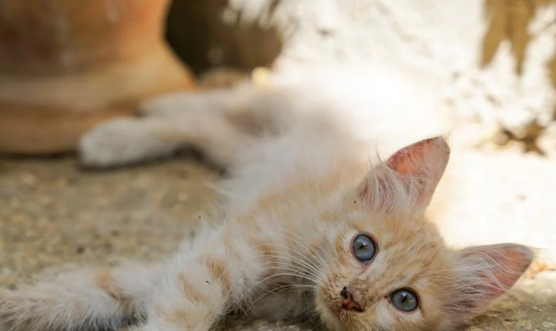 Mijn verjaardag is niet van de familie – Hoe ik eindelijk voor mezelf koos