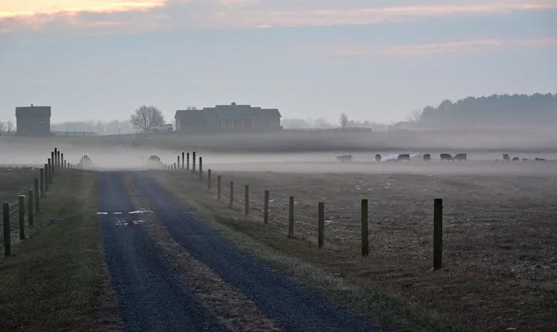 Tien Jaar Stilte: De Pijnlijke Terugkeer van Bas