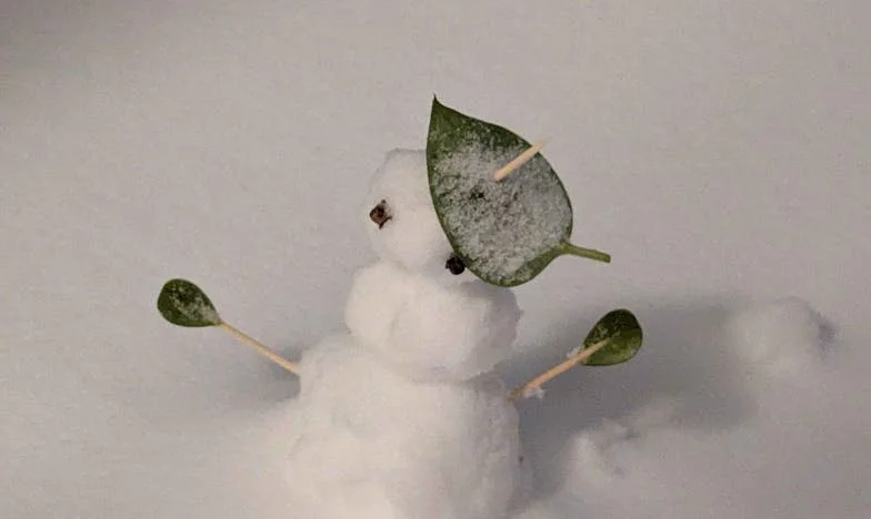 Toen mijn schoonmoeder zei: 'Dan neem jij de lening maar op.' – Met een koffer terug naar huis