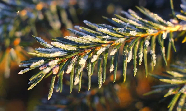 Twintig jaar bedrog: Het geheime leven van mijn man