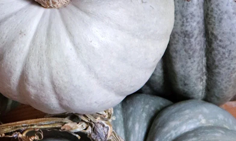 Vastgehouden door Liefde: Marloes' Weg naar Vrijheid