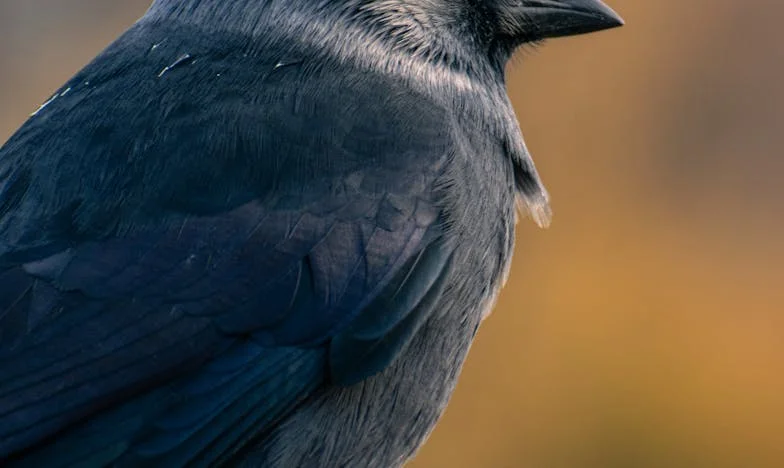 Wanneer Alles Breekt: De Keuze Die Mijn Gezin Verscheurde