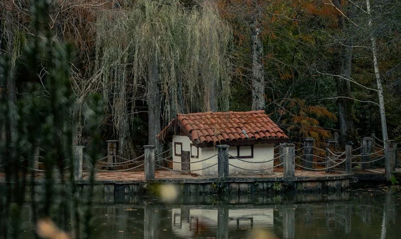 Wanneer familie onverwacht op de stoep staat: een zondag vol oude wonden