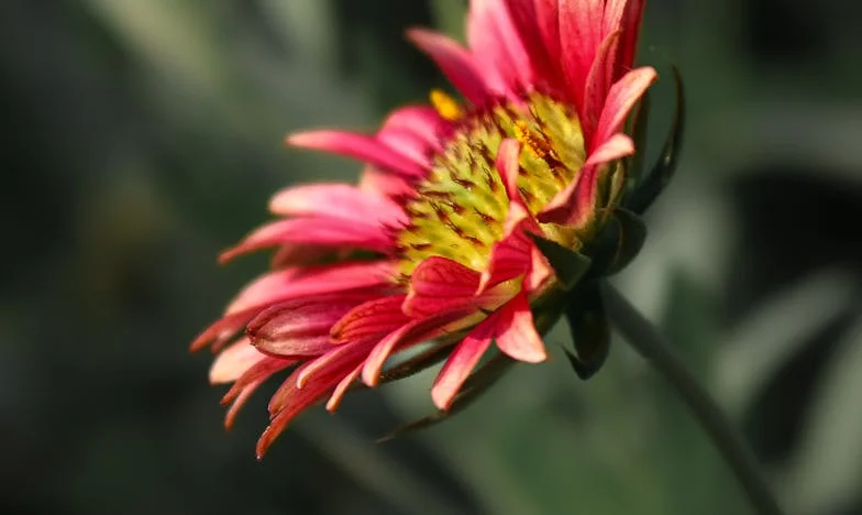 Wanneer familie op de stoep staat: Mijn keuze om niet langer te vluchten