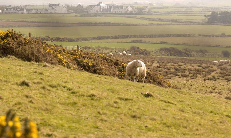 Zestig en opnieuw verliefd – Een liefde die alles op z’n kop zette