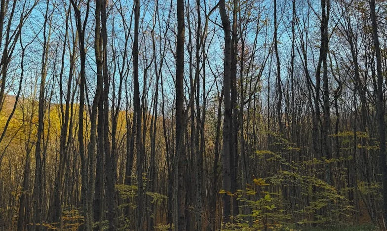 Zestig jaar en opnieuw verliefd: Een tweede kans op geluk