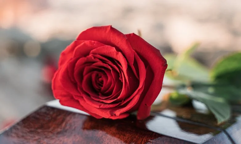 De Laatste Fietsrit van Mijn Leven: Een Vader, Een Zoon, en Een Onvervulde Droom