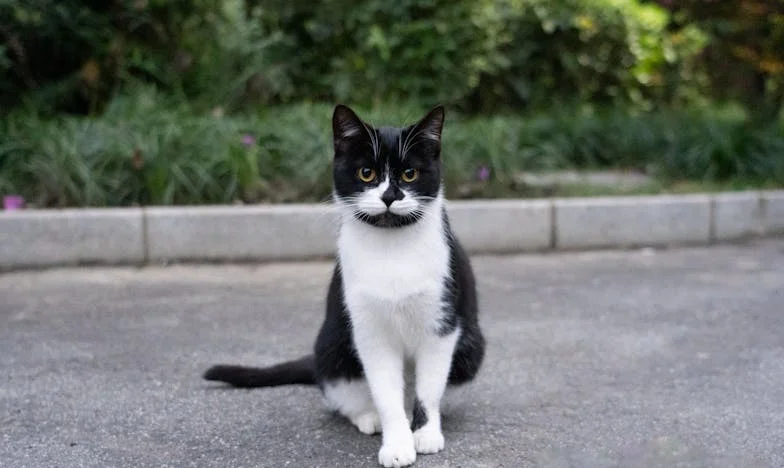 De prijs van vrijheid: Wanneer een scheiding geen einde is, maar een nieuw begin