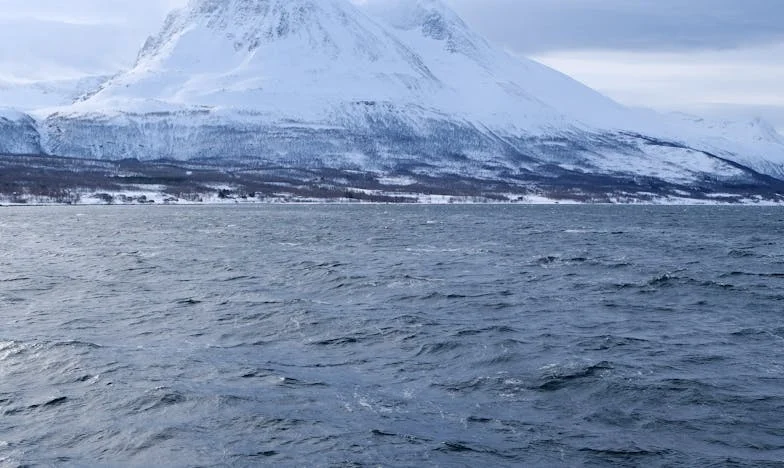 Het cadeau dat mijn familie brak: Hoe een goedbedoelde gift alles verwoestte