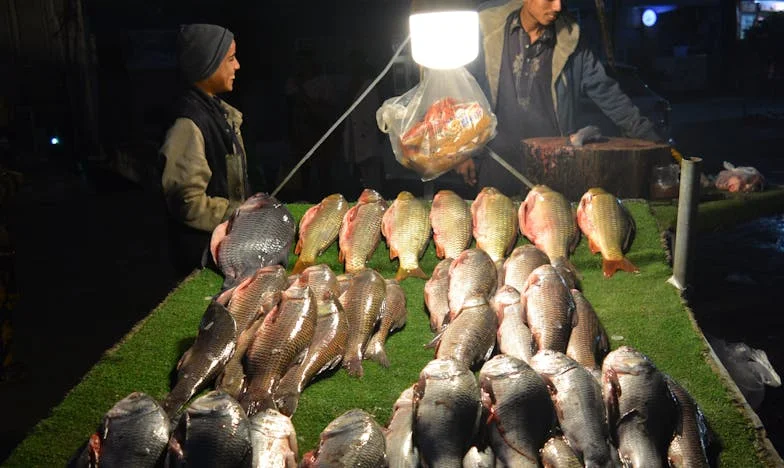 Hoe één euro mijn leven veranderde: Van dakloos naar steenrijk door een onverwachte ontmoeting