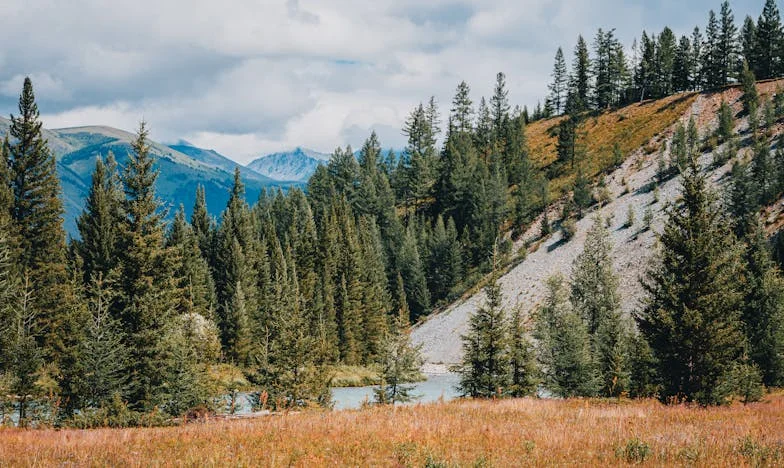 Mijn Man Stelt Een Ultimatum: Alles Verandert Op Eén Nacht