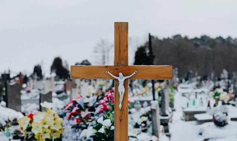 Onder de Schaduw van de Kastanjeboom
