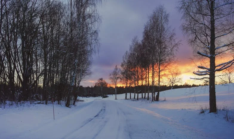 Onder het dak van stilte: Het verhaal van Marijke van Dijk
