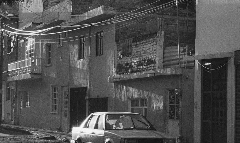 Onder het Zilte Licht: Een Onverwachte Ontmoeting aan de Nederlandse Kust