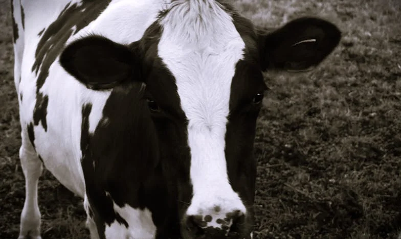 Onder Vals Verdacht: Een Nacht Die Alles Veranderde