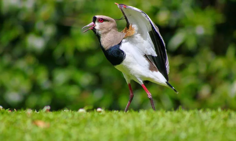 Vergeten in de Stilte: Het Verhaal van een Grootmoeder