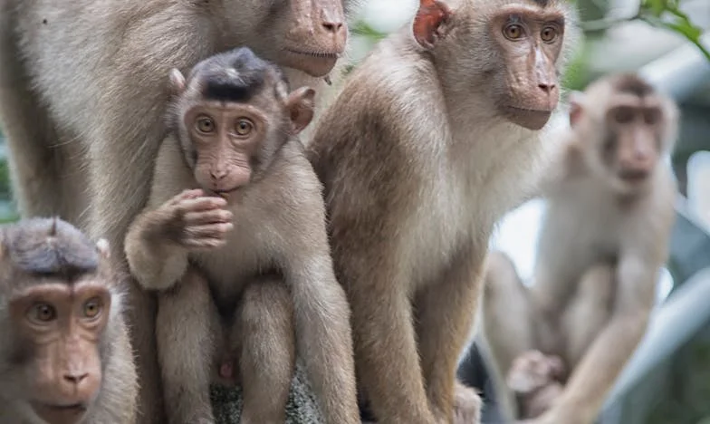 Zeven jaar onder één dak met mijn schoonmoeder: waarom mijn zus denkt dat iedereen haar iets verschuldigd is