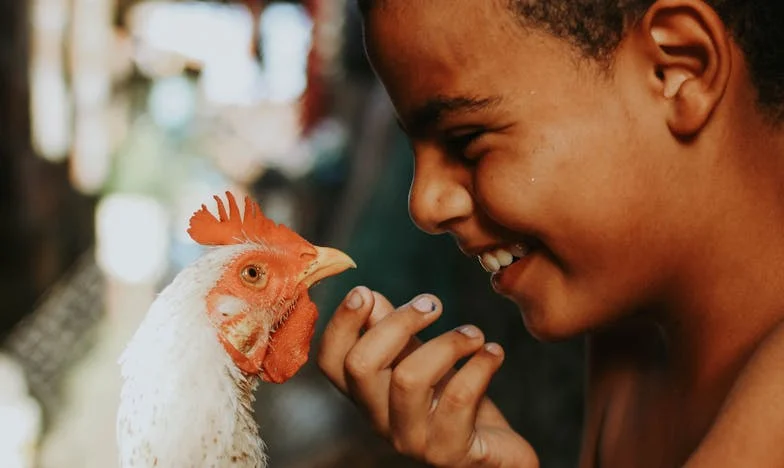 Kloppen op de deur: Tranen van mijn schoonmoeder en de stilte van verraad – Mijn zoektocht naar vergeving