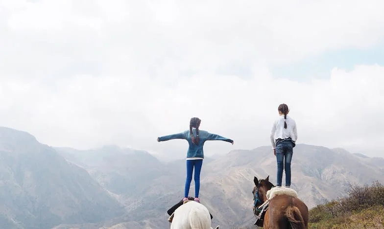 De Nacht van Fatma: Een Prinses in het Schaduwspel van Topkapi