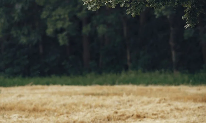 Drie jaar alleen: Toen mijn ex-man 40.000 euro overmaakte aan onze kinderen – en wat ik achter zijn deur vond