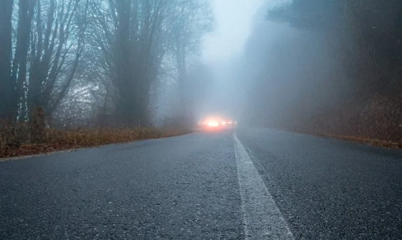Een Onverwachte Waarheid: Mijn Leven in de Schaduw van een Geheim