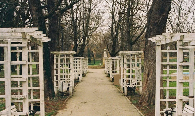 Het Geheim Dat Alleen Wij Delen: Een Verhaal Over Schuld, Liefde en Vergeving