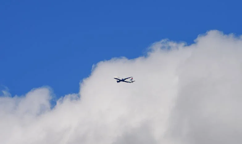 Als We Eerder Elkaar Gevonden Hadden – Een Verhaal Over Gemiste Kansen, Familiewonden en Late Liefde