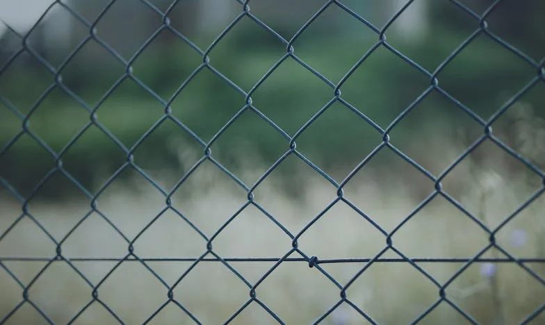 Het Geheim uit Oma’s Kist: Een Brief die Alles Veranderde