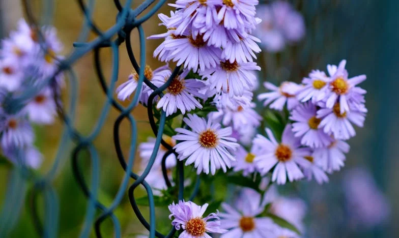 Mijn dochter bedriegt haar man – Wat moet ik doen?