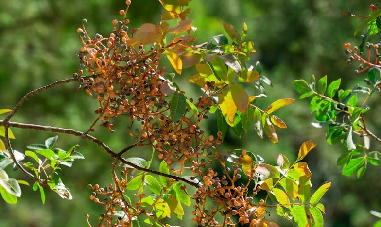 Gesloten deuren: Ik voel me een vreemde in het leven van mijn zoon