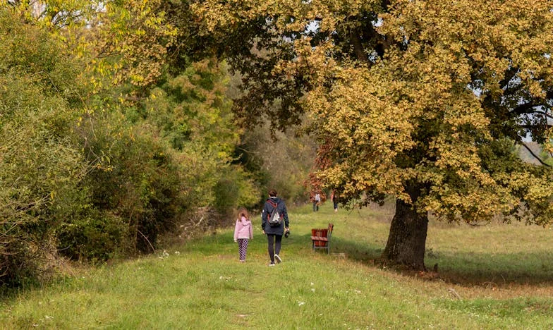 Toen Opa Bij Ons Kwam Wonen: Liefde, Conflicten en Geheimen in Ons Kleine Appartement