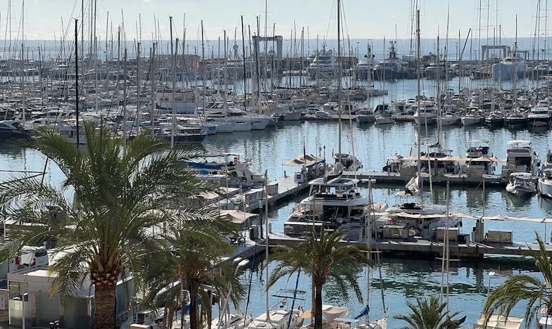 Tussen Twee Vuren: Hoe Ik Overleefde Met Een Moederskindje Als Man