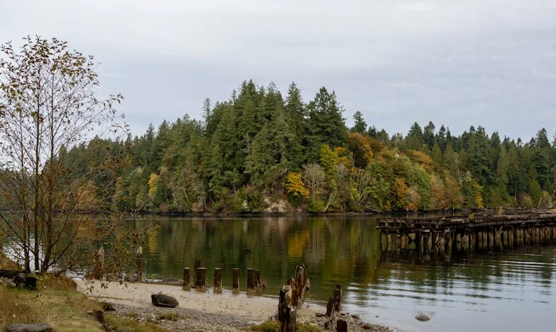 “Anne, vanaf nu slaap je in de bijkeuken”: Vervreemd in mijn eigen huis
