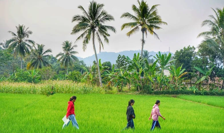De Onbereikbare Perfectie: Wat Mannen Denken te Willen in een Vrouw