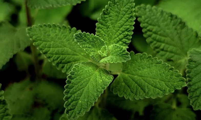 De Onvertelde Waarheid Achter Mijn Eerste Salaris: Een Brief Die Nooit Gelezen Werd