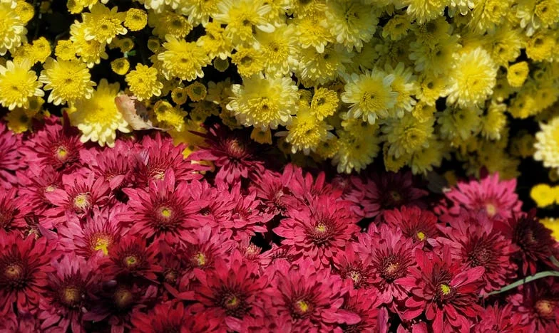 De waarheid die de stilte brak: Marloes' ontwaken