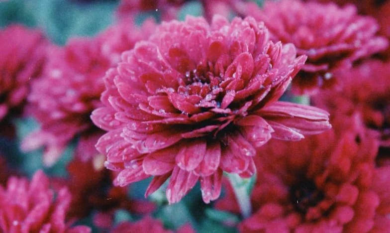 “Dit is niet de man met wie ik getrouwd ben”: Hoe mijn huwelijk langzaam afbrokkelde