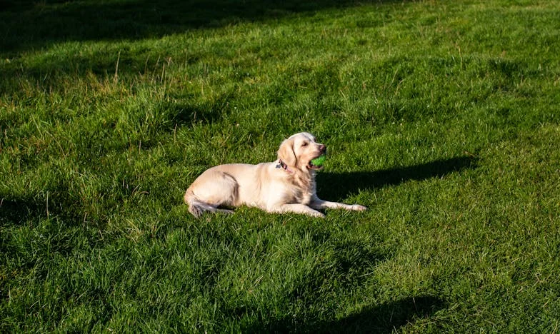 Een vreemde aan mijn deur: De waarheid die mijn familie niet wilde horen