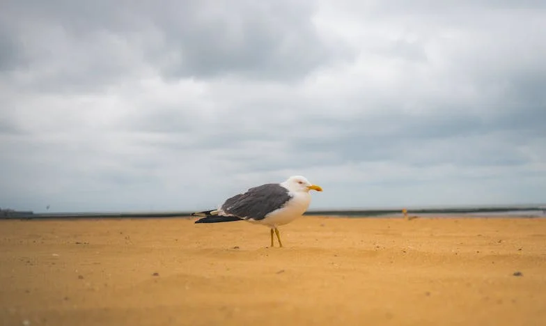 “Er is geen plek voor jou, mam”: Een moederhart gebroken op de stoep van haar zoon