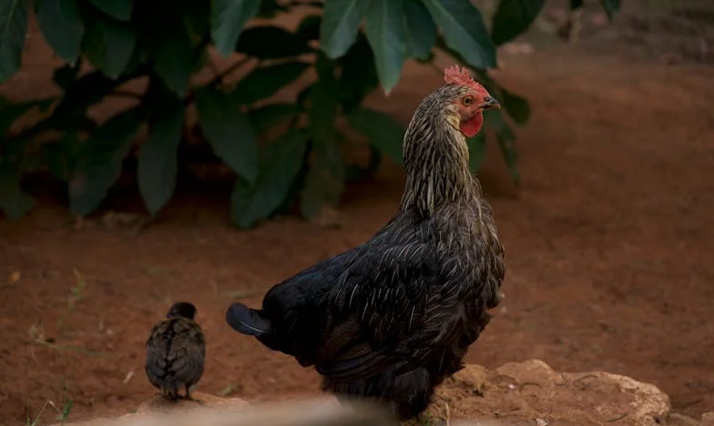 Help! De dochter van mijn vriend zorgt voor drama thuis