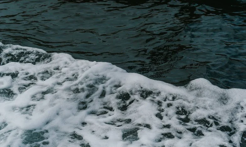 Het Hart van Peter: Een Moeder, Een Donor, Een Nieuw Leven