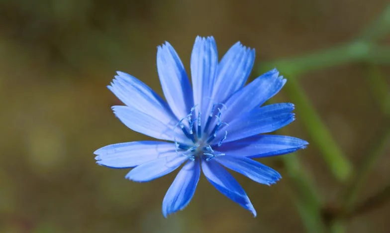 “Mijn moeder bedroog me en liet alles aan mijn zus na”: Hoe een erfenis mijn leven op zijn kop zette